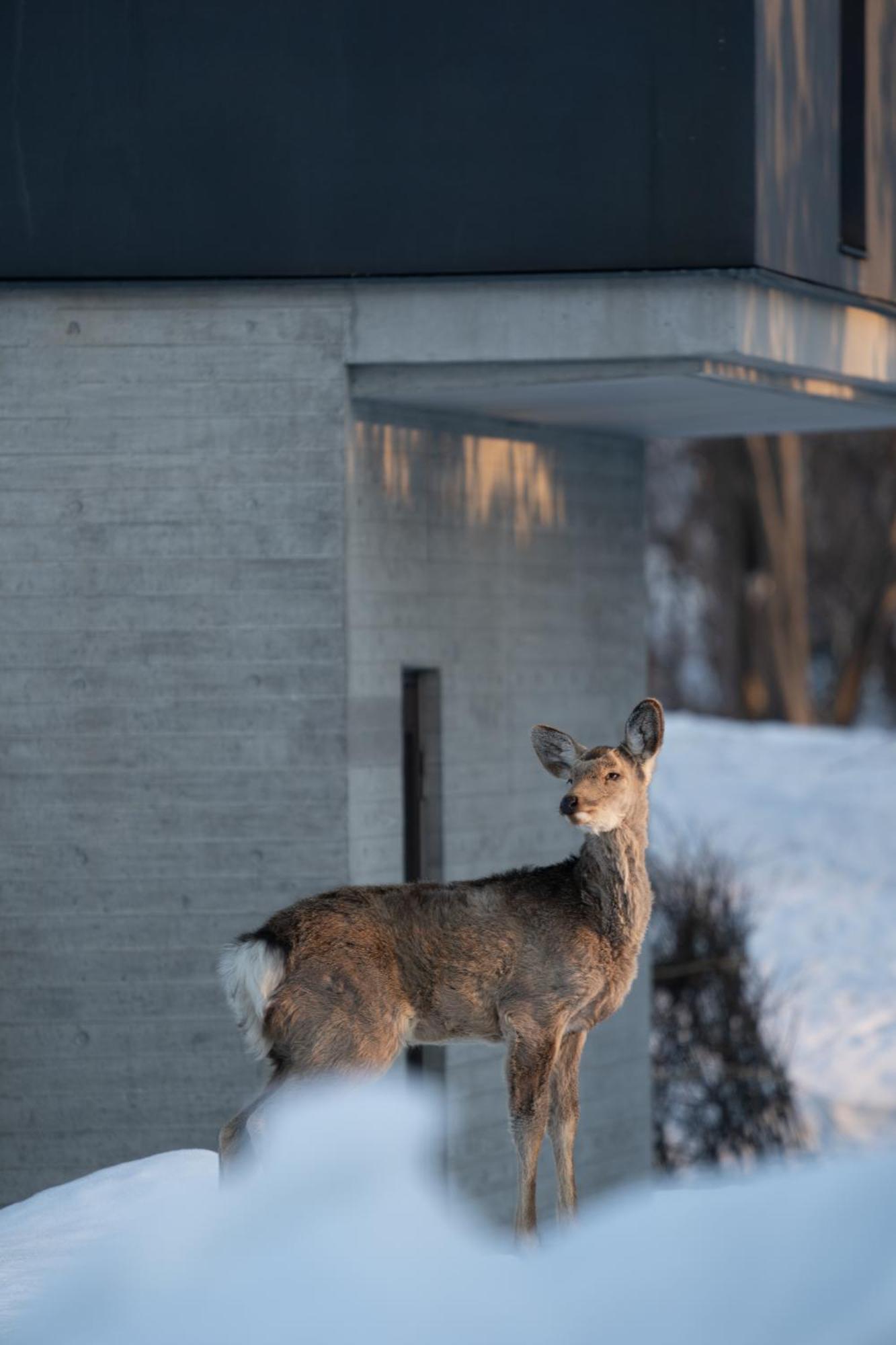 Chalet Ivy Jozankei Sapporo Exteriér fotografie